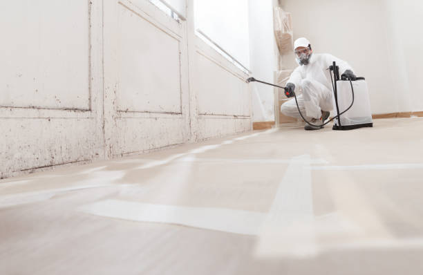 24/7 Emergency Black Mold Remediation experts in Winchester, MA
