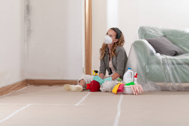 Reliable Black Mold Remediation contractor in Winchester, MA by Car Mold Remediation